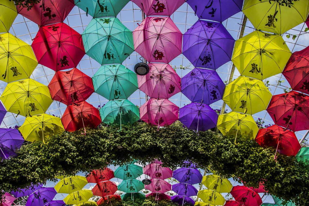 Parapluies Miracle Garden