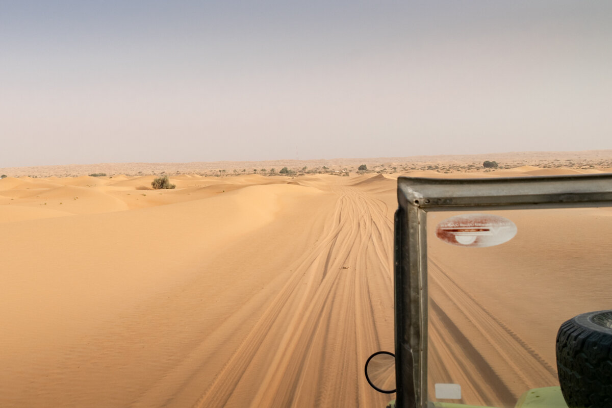 Safari dans le désert à Dubai