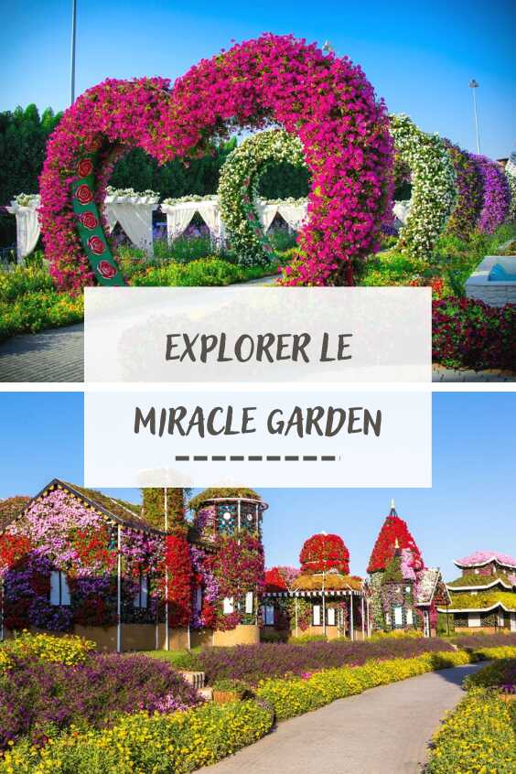 Miracle garden pinterest