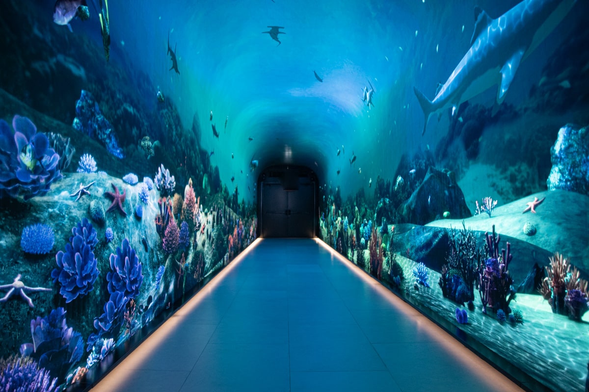 Aquarium de The View at The Palm à Dubai