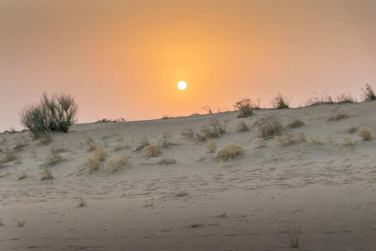 Coucher de soleil dans le désert à Dubai