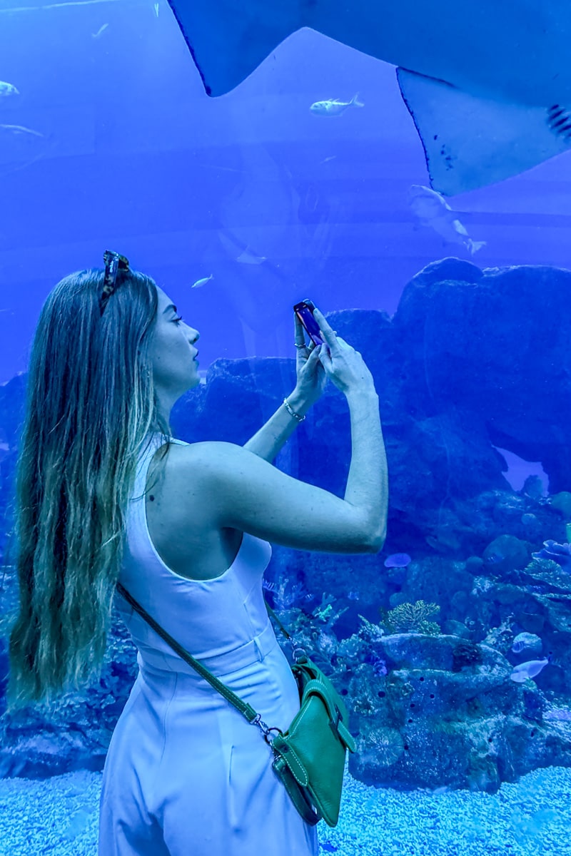 personne qui prend une photo dans l'aquarium de Dubai